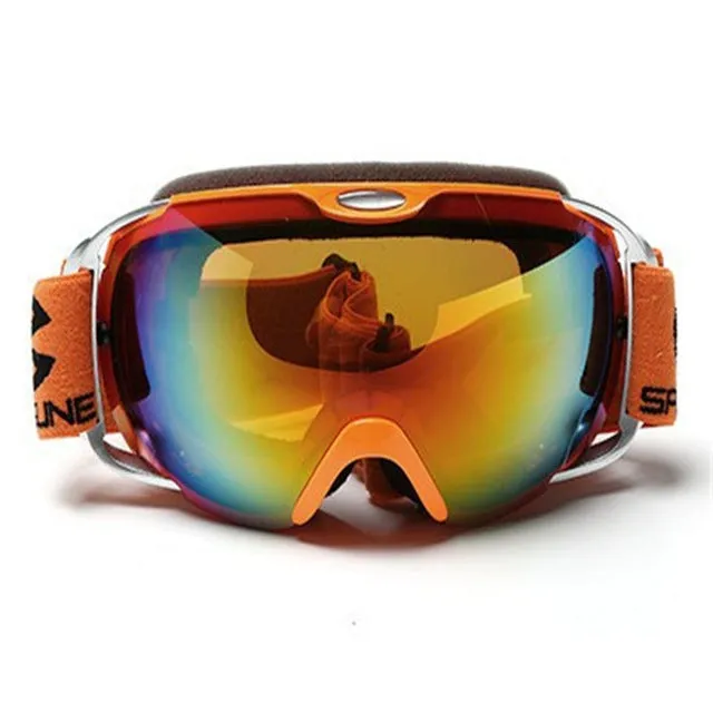 Anti Fog Snowboard Ski Goggles Double Lens Snow Glasses Men or Women - Adult Ski Goggles