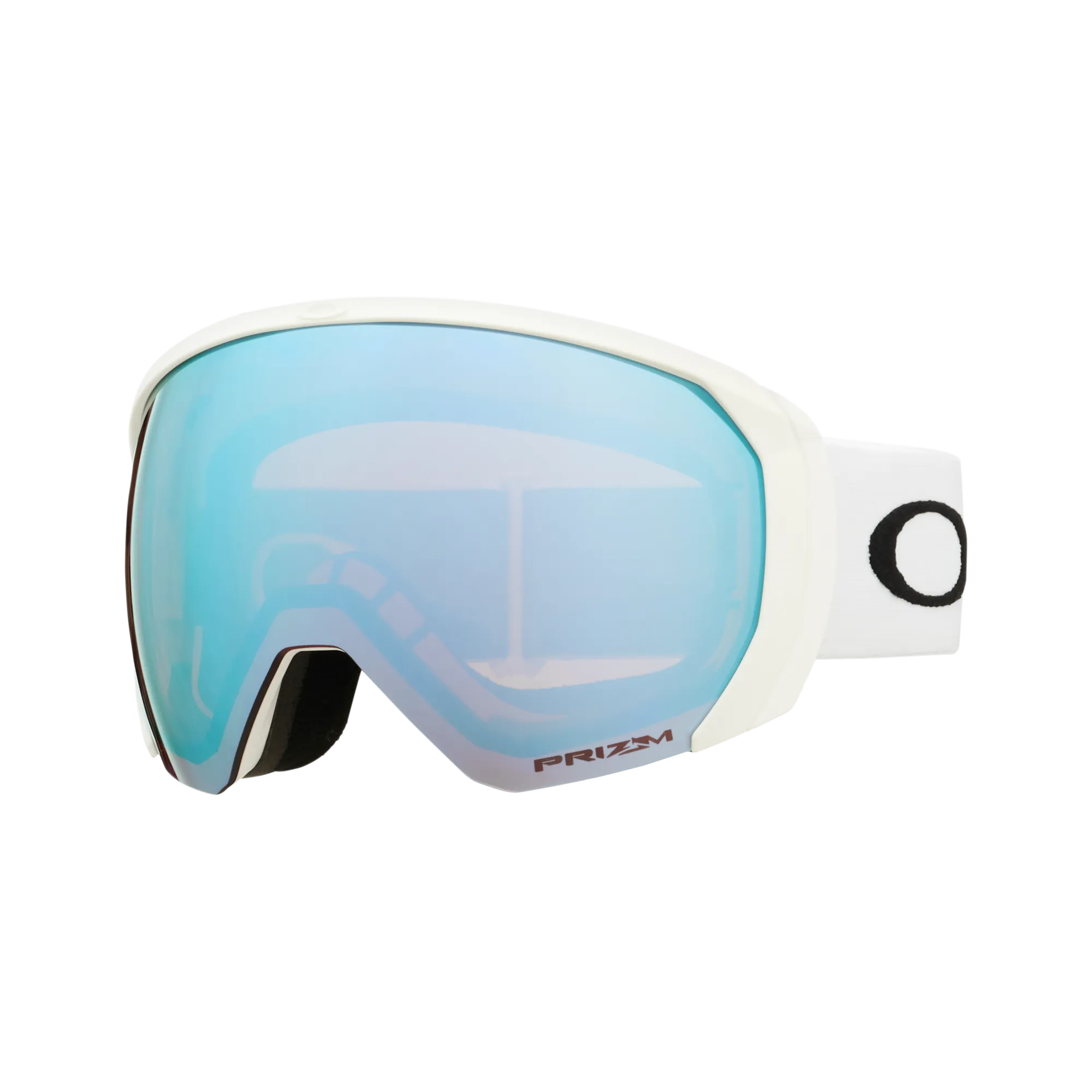 Flight Path L Goggles