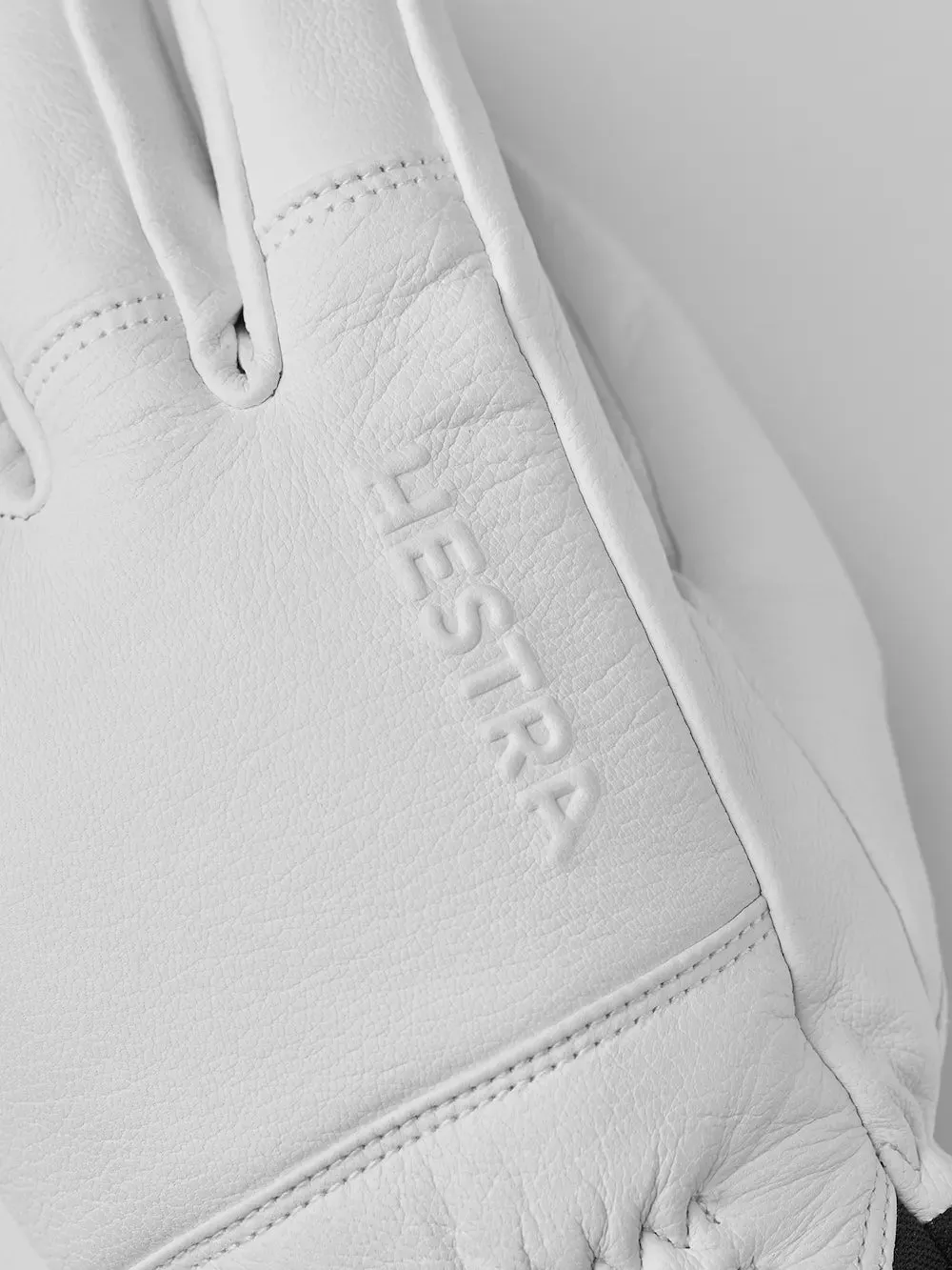 Hestra Alpine Pro Omni Glove