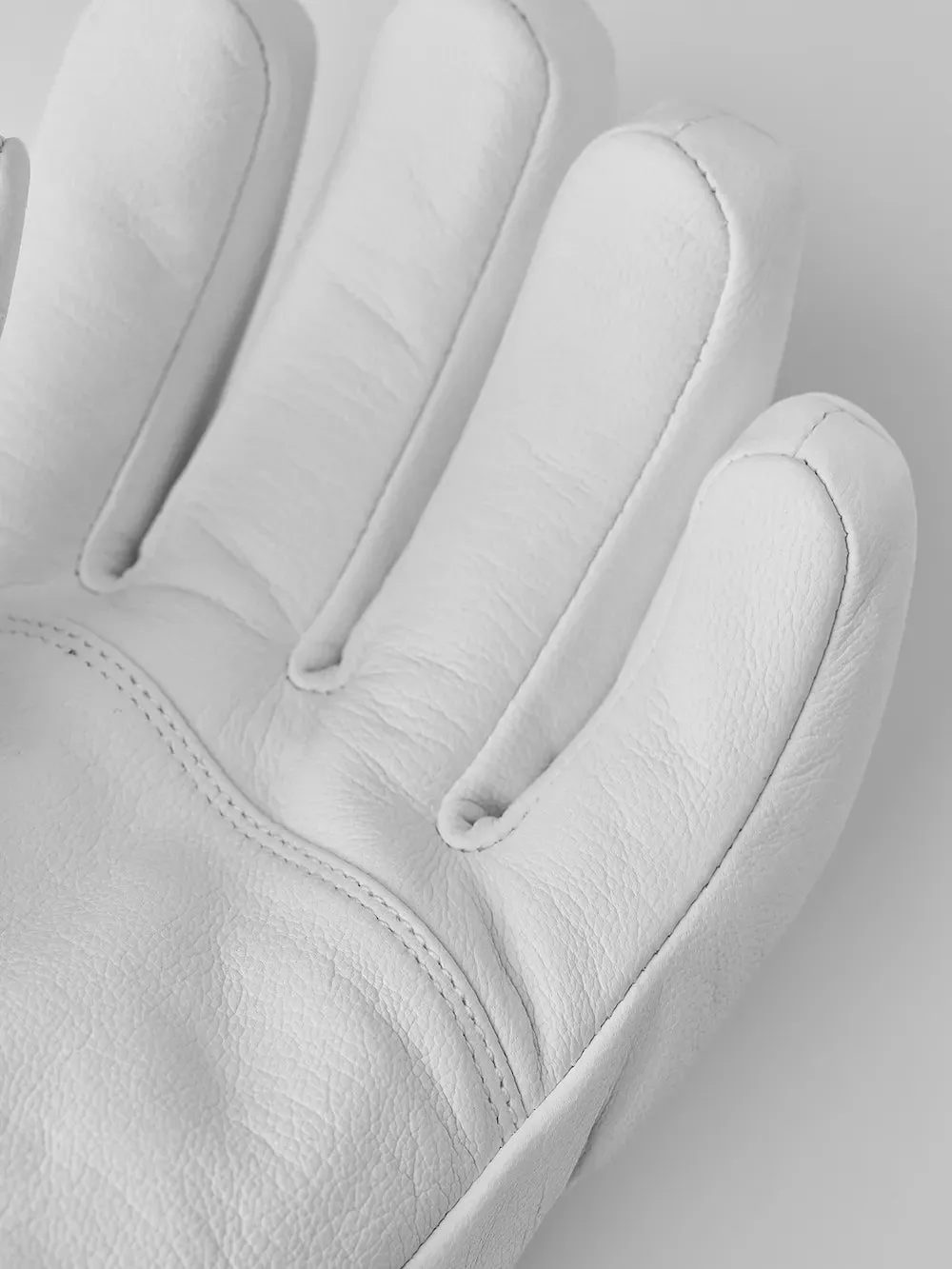 Hestra Alpine Pro Omni Glove