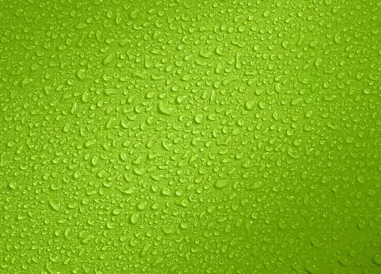 Light Drypack 1 - Citrus